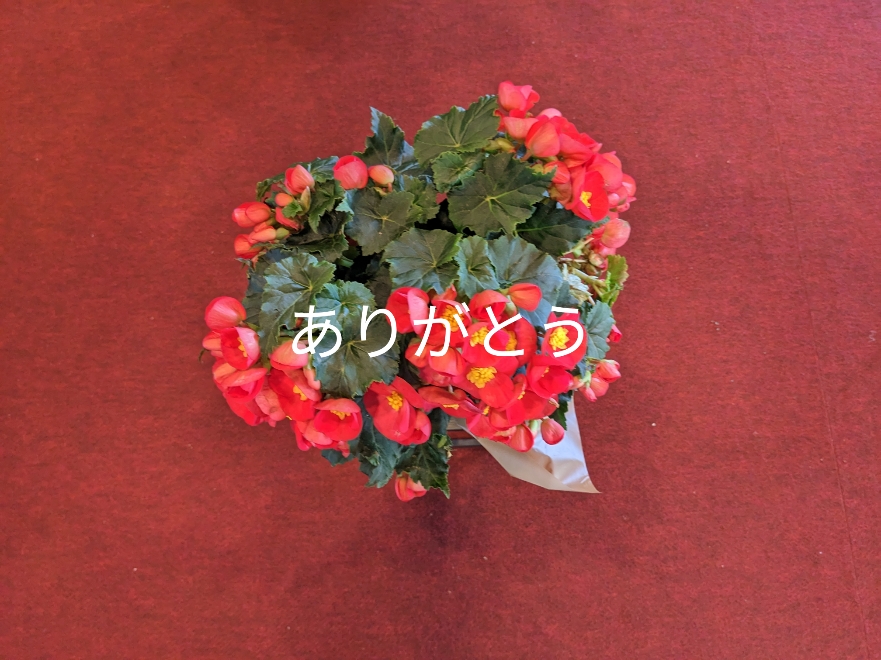 ちあき