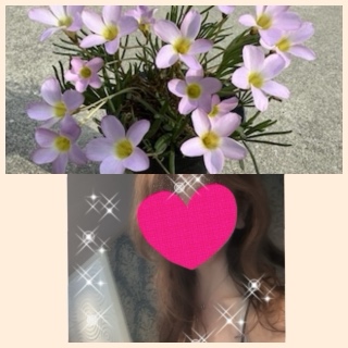 ちはる