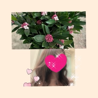 ちはる