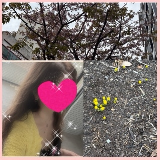 ちはる