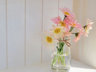 ちあき