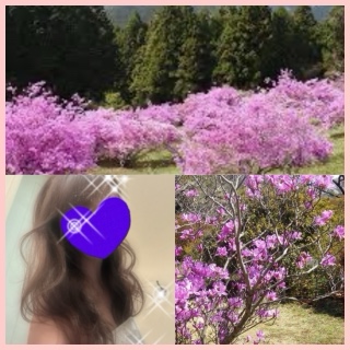 ちはる