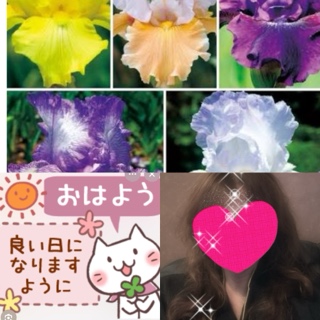 ちはる