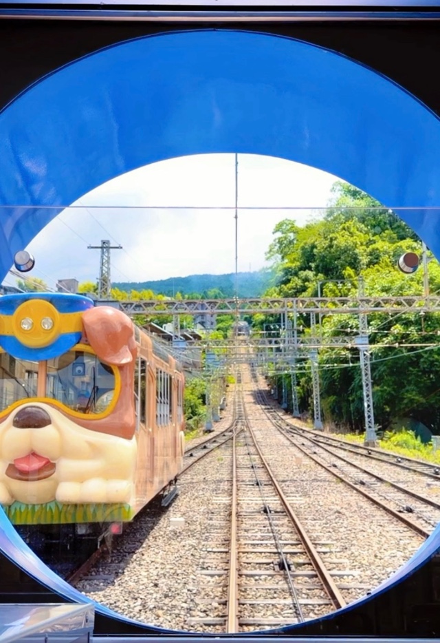 みわ