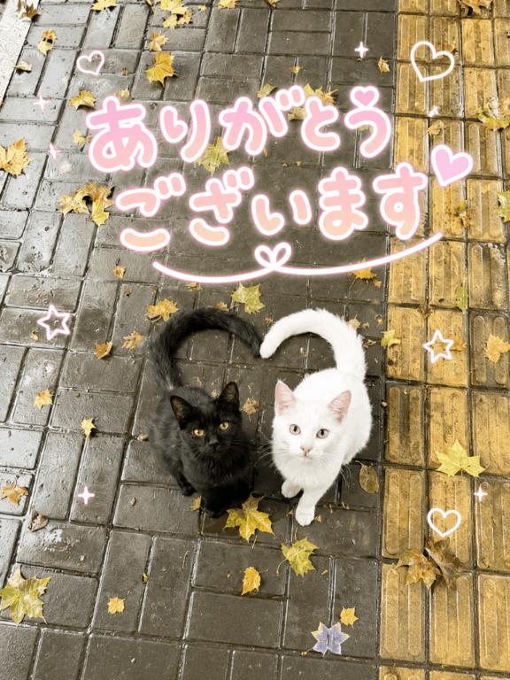 なお