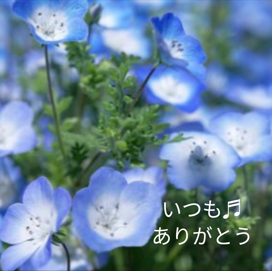ちあき