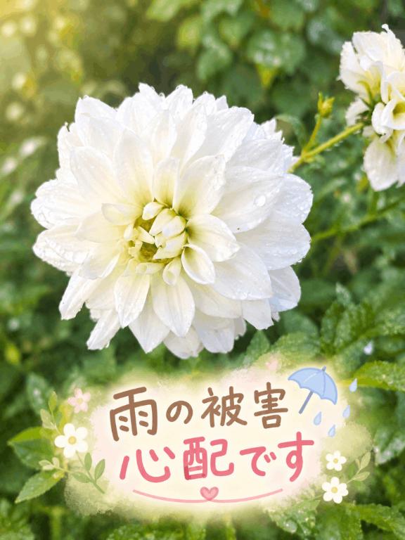 なお