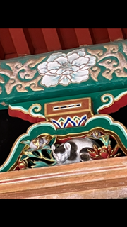 うみ